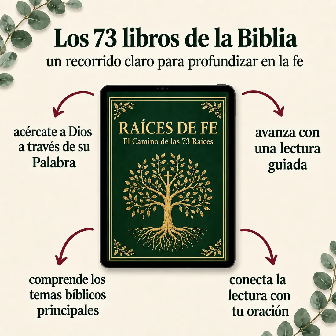 Beneficios de la colección Raíces de Fe